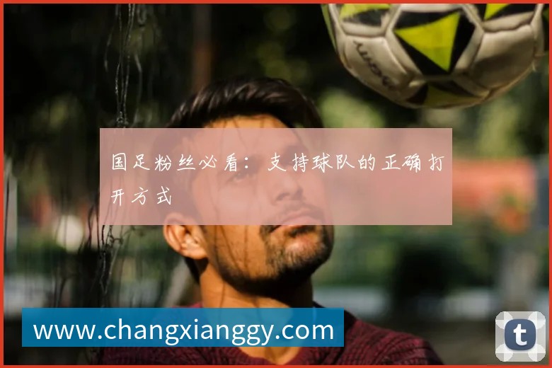 国足粉丝必看：支持球队的正确打开方式