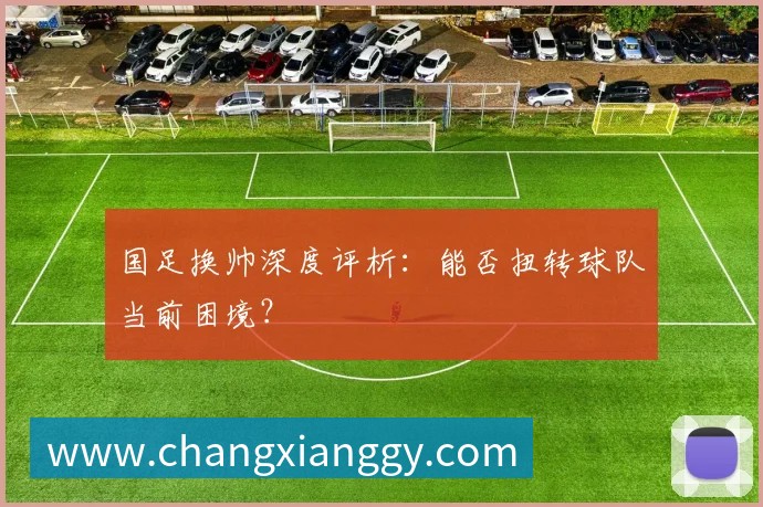 世体:世界杯18决赛西葡战,巴萨体育总监德科现场观战