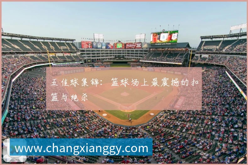 中国排球明星球员专访：赛场背后的故事