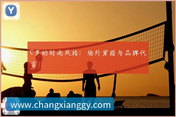 中国排球联赛观赛指南：赛程与球队介绍