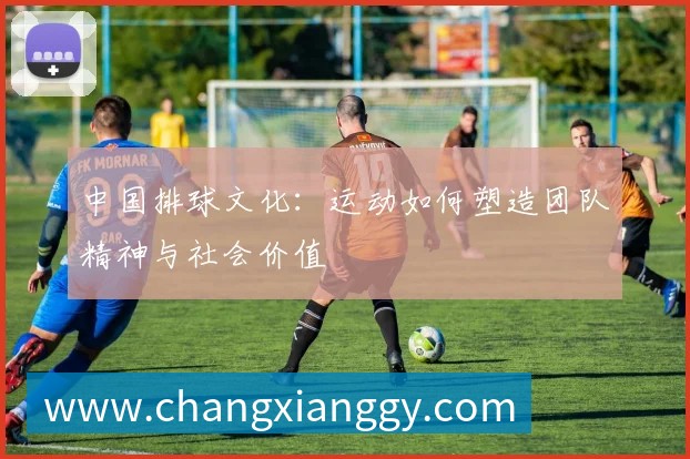 中国排球文化：运动如何塑造团队精神与社会价值