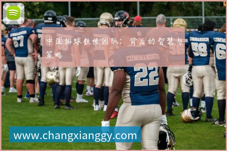 中国排球教练团队：背后的智慧与策略